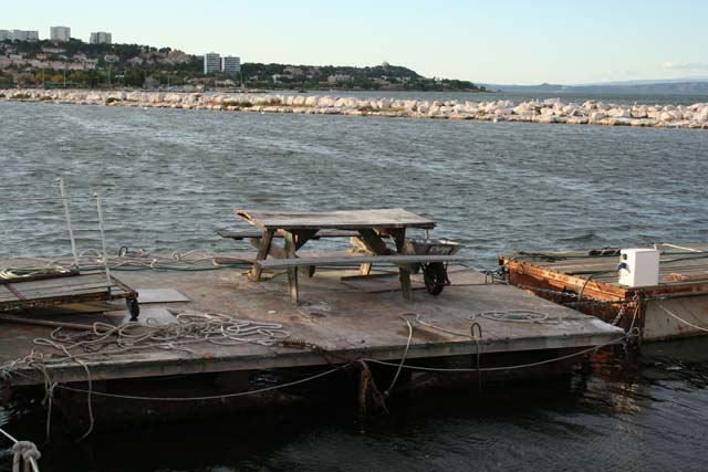 Photo 006