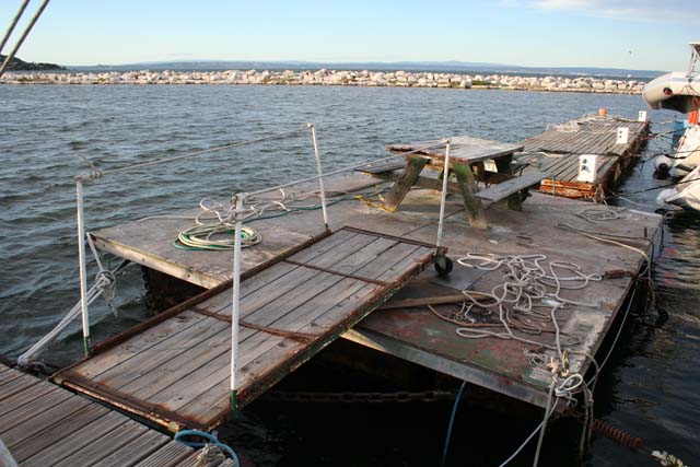 Photo 007
