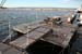 Photo 007