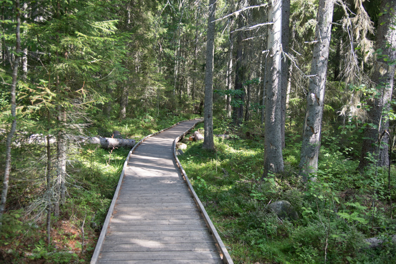 pont bois