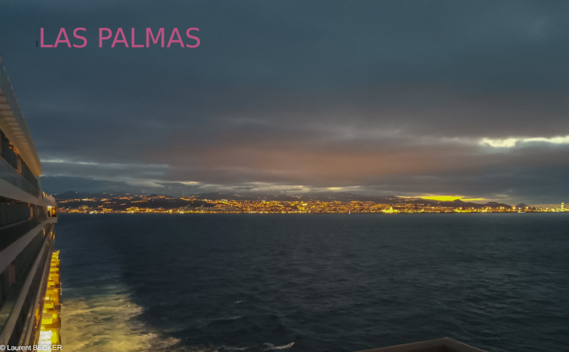 las palmas