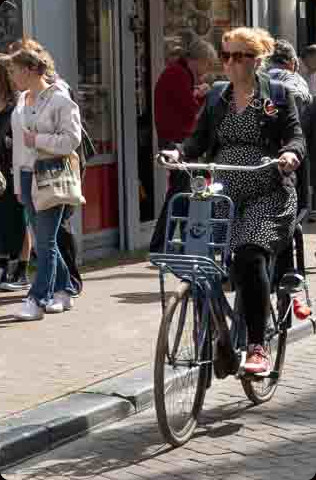 dame velo